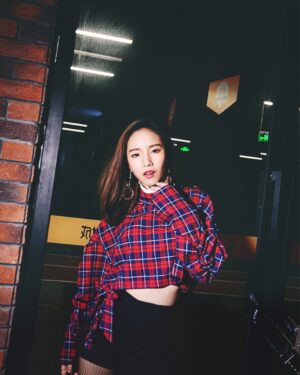 Red Plaid Crop Top | Lisa - BlackPink