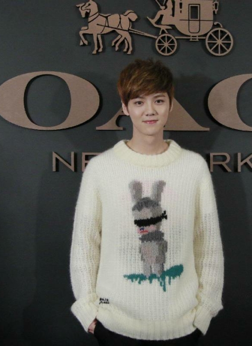 White Blind Rabbit Sweater | Luhan – EXO