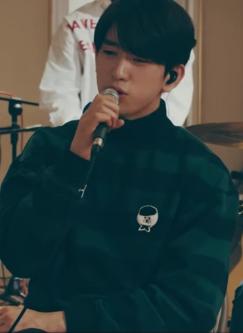 Green And Blue Turtleneck Sweater | Jinyoung - GOT7