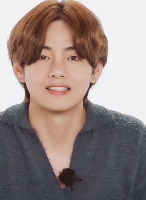 Grey Wide Collar Mink Sweater | Taehyung – BTS