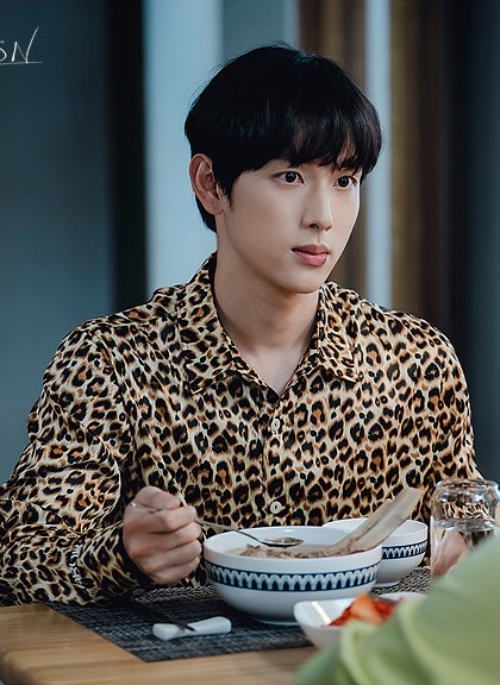 Brown Leopard Print Collared Shirt | Ki Seon Gyeom - Run On