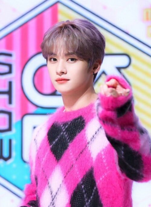 Pink Fuzzy Argyle Sweater | LeeKnow – Stray Kids