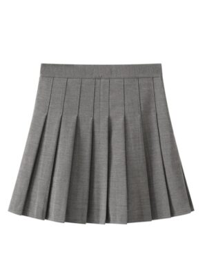 Grey Pleated School Style Skirt | Lisa - BlackPink