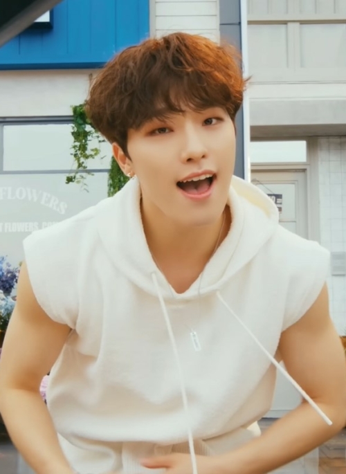 White Sleeveless Vest Hoodie | Dino – Seventeen