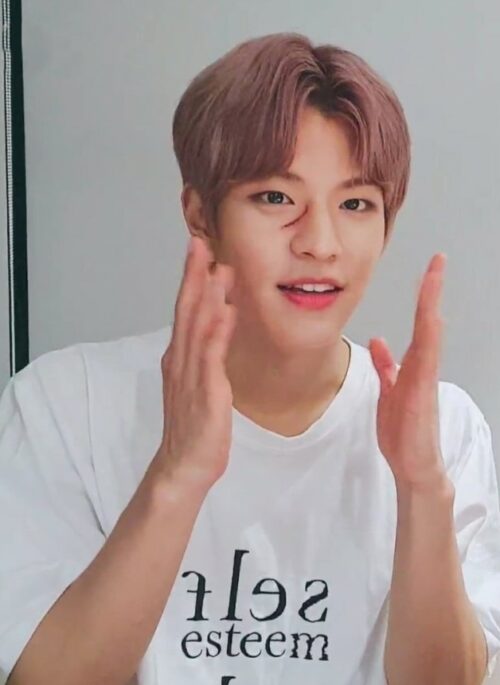 White “Self Esteem” Printed T-Shirt | Seungmin – Stray Kids