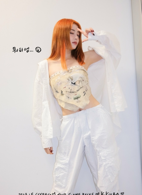 Beige Pegasus Scarf  Tube Crop Top | Yunjin – Le Sserafim