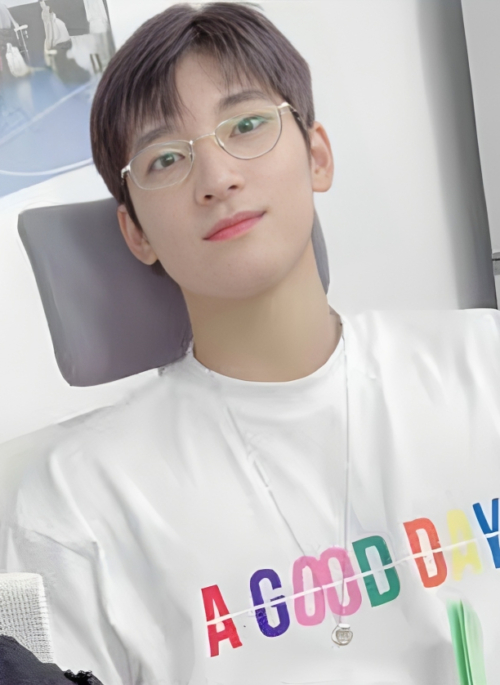 White ‘A Good Day’ Printed T-Shirt | Wonwoo – Seventeen