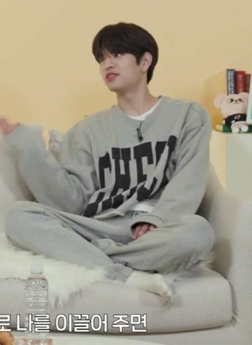 Grey “Check” Crewneck Sweatshirt | Seungmin – Stray Kids