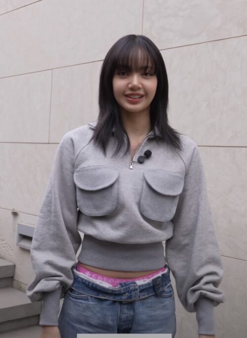 Grey Half-Zip Collared Sweatshirt | Lisa - BlackPink