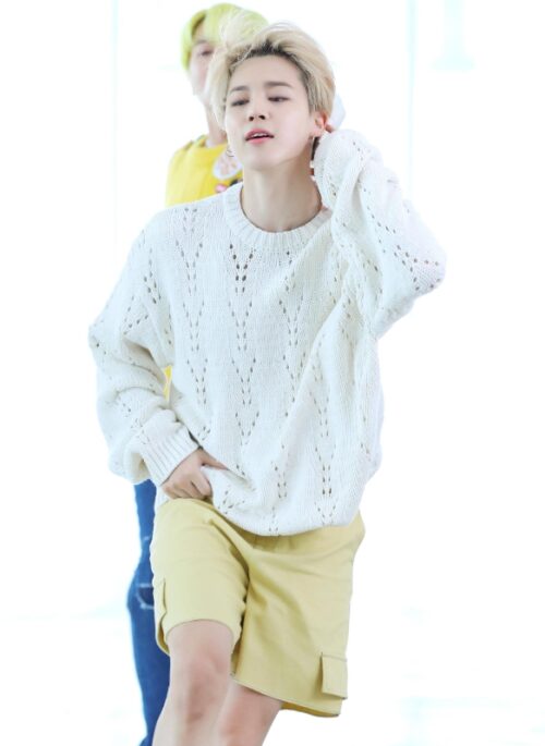 Beige Mid-Length Wide Leg Shorts | Jimin - BTS