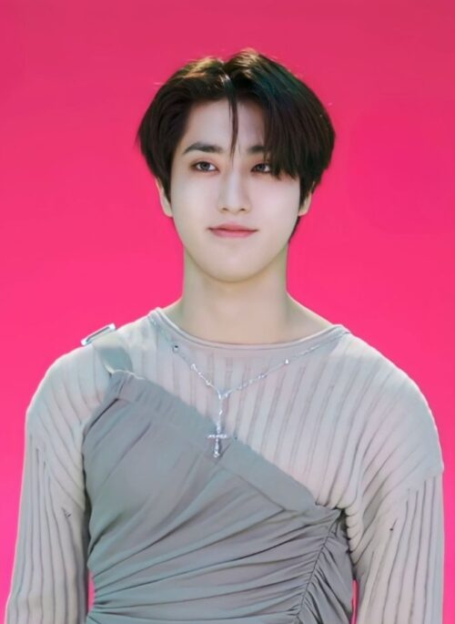 Grey Asymmetrical Ruched Top | Jisung - Stray Kids