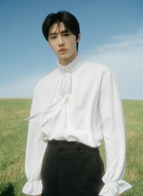 White Pleated Collar Long Sleeve Blouse | Sunghoon – Enhypen