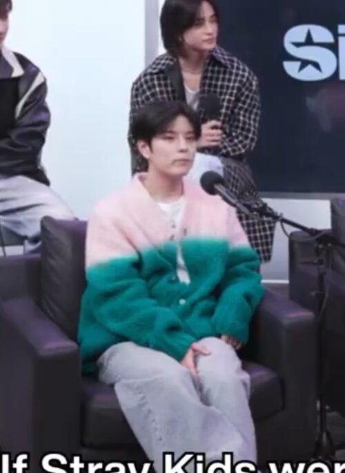 Green Dual Tone Furry Cardigan | Seungmin - Stray Kids