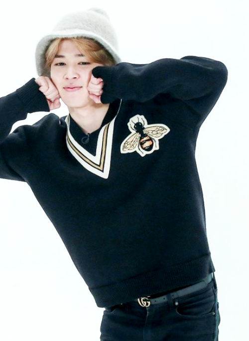 Black Bee Embroidered V-Neck Sweater | Jimin – BTS