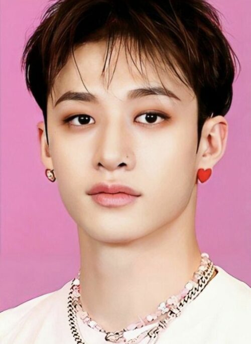 Red Heart Shape Earrings | Bang Chan – Stray Kids