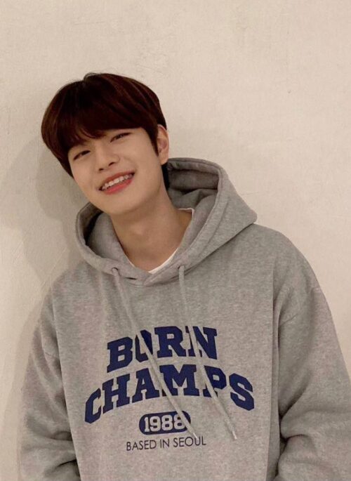 Grey 1988 Born Champs Hoodie | Seungmin - Stray Kids