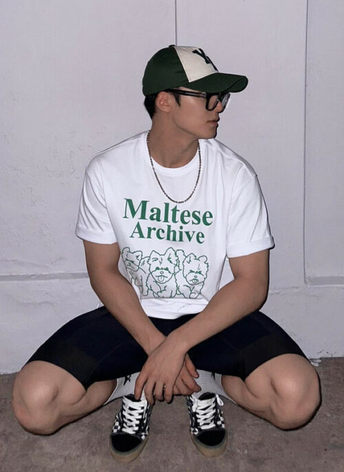 White Maltese Archive Graphic T-Shirt | Mingyu - Seventeen