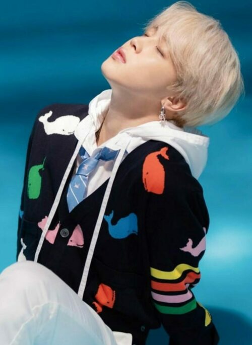 Black V-Neck Whale Print Cardigan | Jimin - BTS