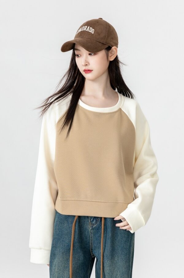 Color Block Raglan Sleeve Sweatshirt