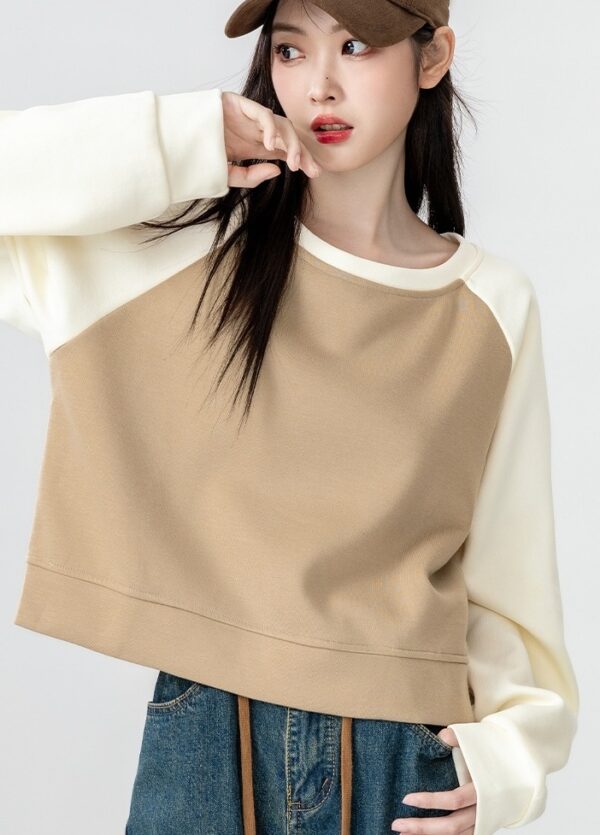 Color Block Raglan Sleeve Sweatshirt - Image 11