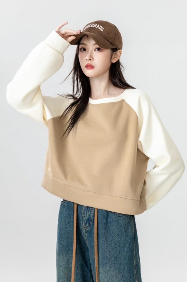 Color Block Raglan Sleeve Sweatshirt - Image 14