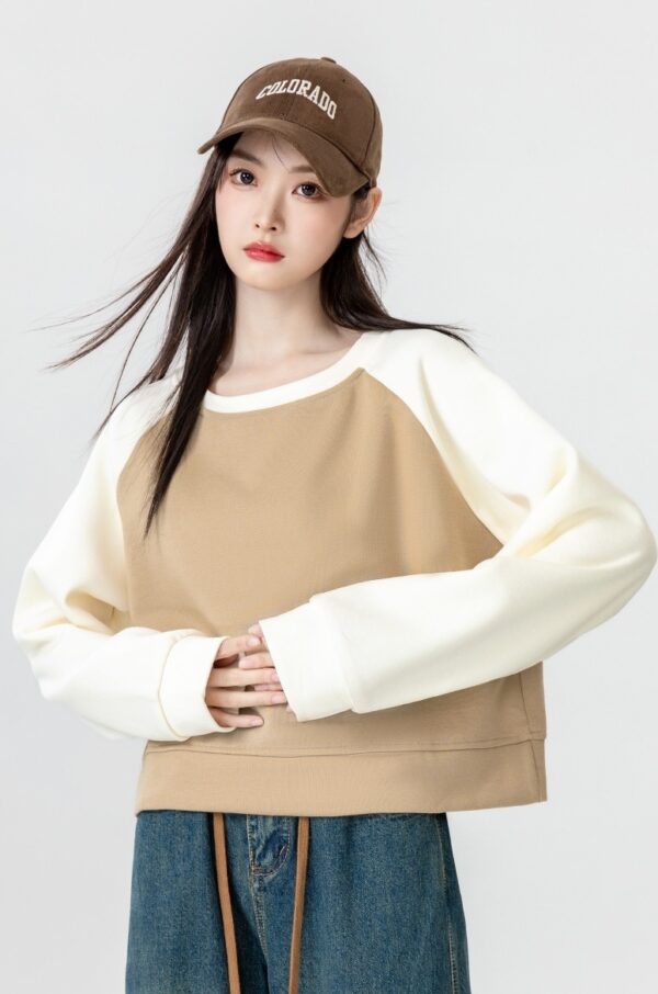 Color Block Raglan Sleeve Sweatshirt - Image 3