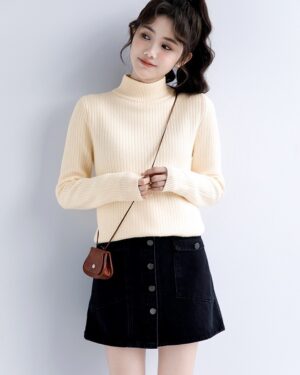 Winter Knit High Neck Sweater Top