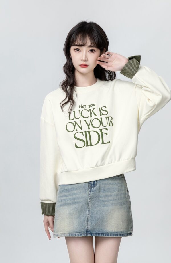 Embroidered Letter Crewneck Pullover Sweater