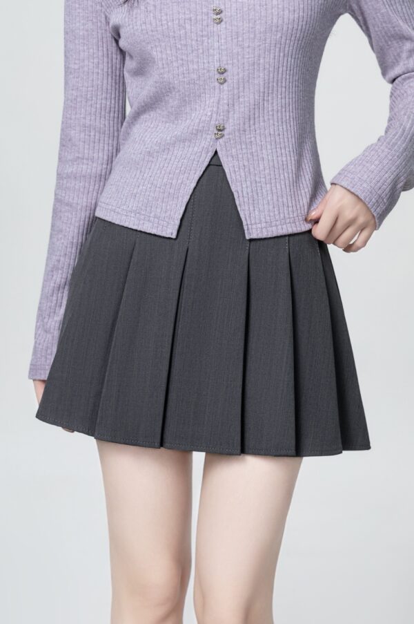 Gray Pleated Highwaist Skirt - Image 6